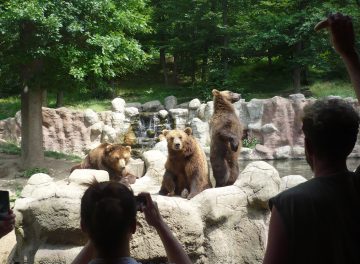 Zoo Brno